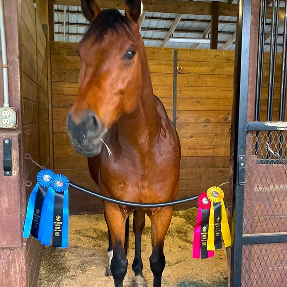 Meet your Posher, Sarah - Picture 3 of 11